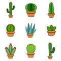Set of cactus in a potplants Royalty Free Stock Photo