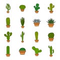 Set of cactus in a potplants Royalty Free Stock Photo