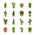 Set of cactus in a potplants Royalty Free Stock Photo