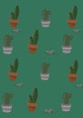Set of cactus in pots Royalty Free Stock Photo