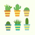 Set of 6 Cactus vector illustrations in striped pots, isolated on an off-white background Royalty Free Stock Photo