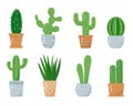 Set of Cactuses in flower pots decorative house plants. Royalty Free Stock Photo