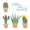 Set of cactuses with pots. Collection with handwritten lettering isolated on white background. Vector