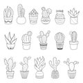 Set of 16 cactuses and succulents in flower pots. Home cactus plants with prickles and flowers. Exotic tropical Royalty Free Stock Photo