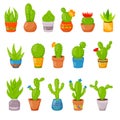 Set of 16 cactuses and succulents in flower pots. Home cactus plants with prickles and flowers. Exotic tropical