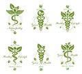 Set of Caduceus vector conceptual emblems created with snakes an