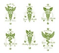 Set of Caduceus vector conceptual emblems created with snakes and green leaves. Wellness and harmony metaphor. Alternative