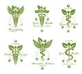 Set of Caduceus vector conceptual emblems created with snakes and green leaves. Wellness and harmony metaphor. Alternative