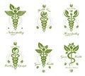 Set of Caduceus vector conceptual emblems created with snakes an