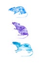 Set for calendar of three abstract rats. Symbol of 2020 new year.Set for winter season: December,January,February. Watercolor