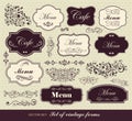 Set of calligraphic design elements