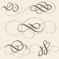 Set of calligraphy flourish art with vintage decorative whorls for design on beige background. Vector illustration EPS10