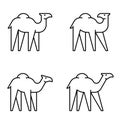 Set of Camel logo Royalty Free Stock Photo