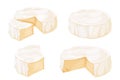 Set Camembert cheese, brie french soft creamy food in cartoon style isolated on white background.
