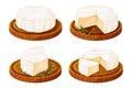 Set Camembert cheese, brie french soft creamy food on wooden tray with rosemary in cartoon style isolated on white