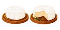 Set Camembert cheese, brie french soft creamy food on wooden tray with rosemary isolated on white background.