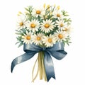 Set of camomile bouquet with satin ribbon hand drawn. Watercolor floral illustration of delicate flowers isolated on