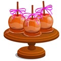 Set of candy apple dipped in melted caramel with stick of cinnamon isolated on white background. Handmade sweetness is