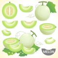 Set of cantaloupe honeydew honey melon fruit Royalty Free Stock Photo