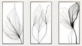 A set of canvases with an abstract foliage in white and black. Plant art design