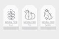 Set of card templates with outlined plant food signs Royalty Free Stock Photo
