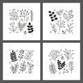 Set of cards with doodle leafy twigs, wild herbs, plants, berries.