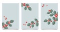 Set of cards with holly berry branches. Christmas backgrounds. Festive frames with holly berry Royalty Free Stock Photo