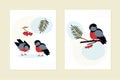 A set of cards  invitations. A bullfinch is sitting on a branch of a rowan tree. A pair of birds strolls and eats. Clusters of red Royalty Free Stock Photo