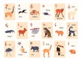 A set of cards with South American animals for childrens games, lotto or memo. Vector illustration.