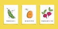 Set of cards with veggies and funny phrases. Puns with cute peas; potato and radish. Kawaii drawing of vegetables