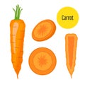 Set of carrot. Sliced, chopped sweet carrot in flat style.
