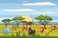 Set of cartoon african animals, background landscapes savanna. Safari animals , hippopotamus, rhinoceros, elephant