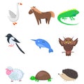 Set of Cartoon Animal Pet and Wild Nine Icons