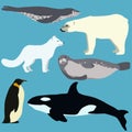 Set of cartoon arctic and antarctic animals Royalty Free Stock Photo