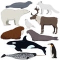Set of cartoon arctic and antarctic animals. Vector illustration of polar bear, seal, arctic fox, penguin, killer whale, snowy owl