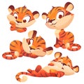 Set cartoon baby tiger, cute animal cub character Royalty Free Stock Photo