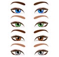 Set of cartoon beautiful women eyes and eyebrows. Vector illustration