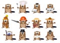 Set of cartoon beavers Royalty Free Stock Photo