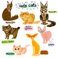 Set of cartoon cats characters