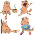 Set of cartoon cats