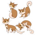 Set of cartoon cats. Collection of cute red cats. Pets with emotions. Playing animals. Illustration for children.