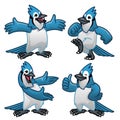 Set cartoon character of blue jay bird