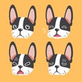 Set of cartoon character boston terrier dog faces showing different emotions