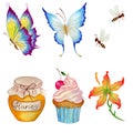 Set of cartoon characters. Butterflies, bees, flower, cupcake and honey.