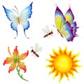 Set of cartoon characters. Butterflies, bees, flower and sun.