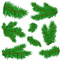 Set of cartoon Christmas trees, fir branches, green pines, spruce isolated on white background Royalty Free Stock Photo