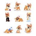 Set of cartoon corgi. Funny little dog in different actions. Walking, wondering, sleeping, growling, playing, crying