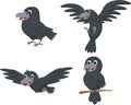 set of Cartoon crow isolated on white background Royalty Free Stock Photo