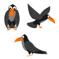 Set of cartoon crows, Halloween. vector isolated on white background Royalty Free Stock Photo