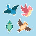 set of cartoon cute birds stickers Royalty Free Stock Photo